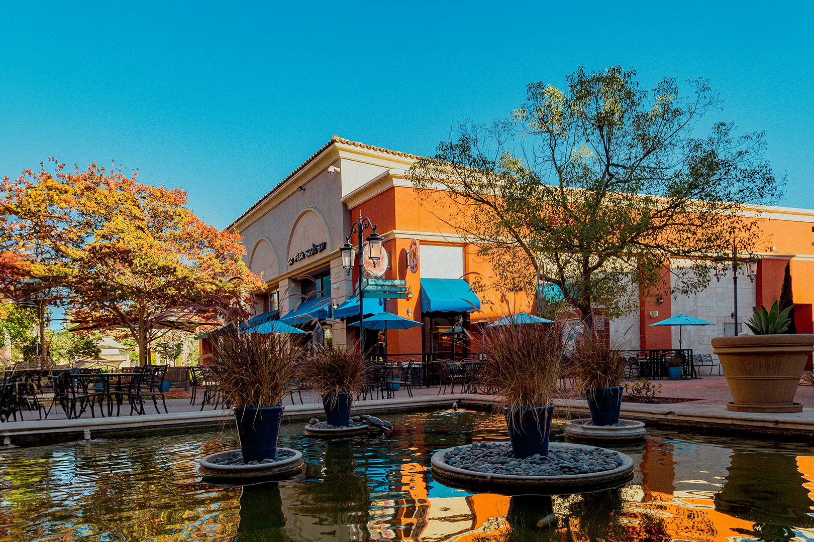 Go Fish Sushi Bar Simi Valley California Sushi Restaurant (1)